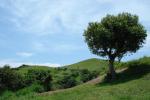 Mt. Gulugod Baboy