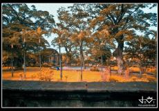 Paco Park – From Past to Present