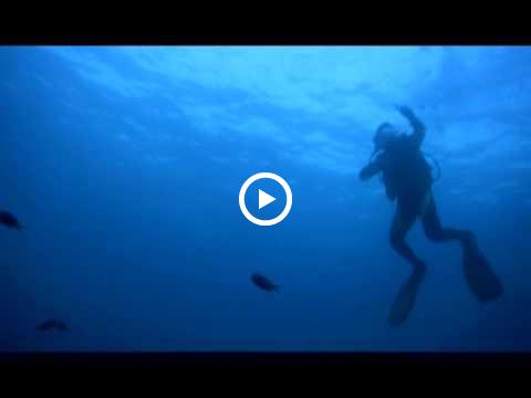 It's More Fun in the Philippines| Diving Surprises in the Philippines | Department of Tourism