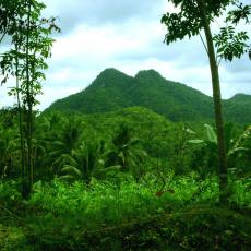 Twin Peak, Balilihan