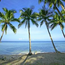 Argao Beach Club