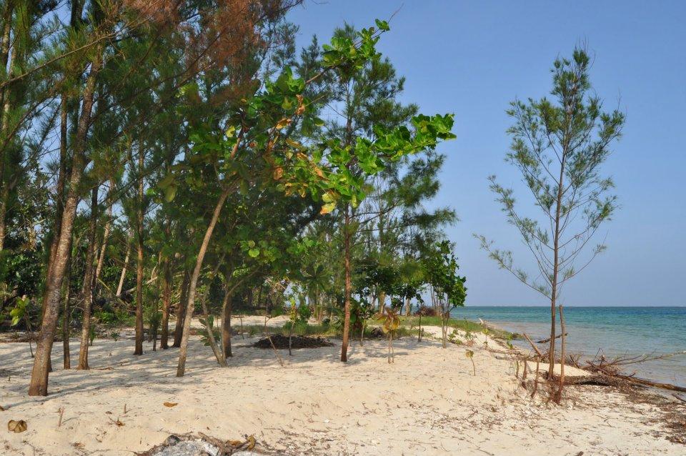 Honeymoon Island: The Perfect Place for Couples